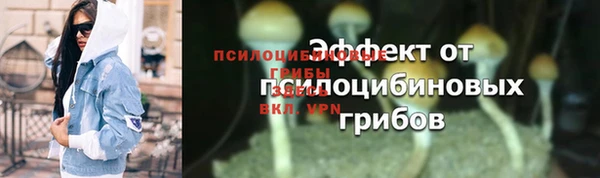 метадон Арсеньев