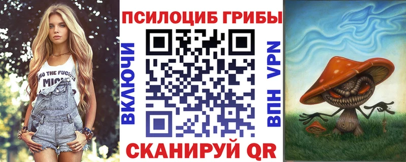 kraken ссылки  Новокубанск  Галлюциногенные грибы Cubensis 